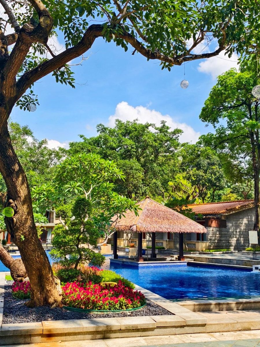Poolside landscaping